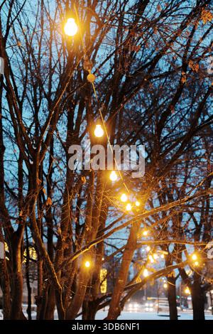 Outdoor festive decoration. Warm yellow light bulbs hanging on trees against blue evening sky. Winter city park illumination. Stock Photo