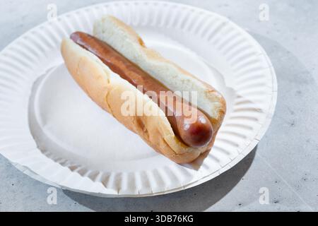 A view of a plain hot dog. Stock Photo