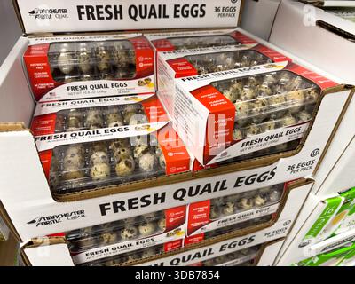 Los Angeles, California, United States - 09-30-2023: A view of several packages of Manchester Farms quail eggs, on display at a local grocery store. Stock Photo