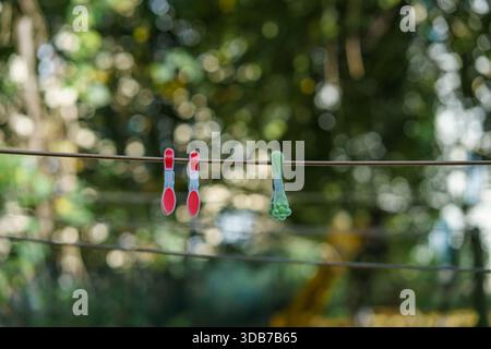 Multi-colored plastic clothespins on a stretched clothesline against a blurred autumn background. Stock Photo