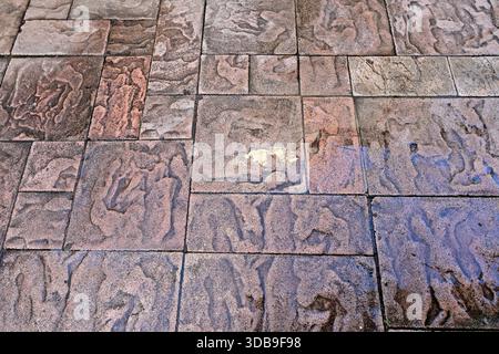 Textured multicolor paving tiles with wet glossy reflective surface Stock Photo