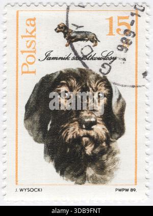 POLAND — 1989 May 3: 15 zloty multicolored postage stamp depicting Dogs: Wire-haired Dachshund, also known as the wiener dog or sausage dog, badger dog and doxie, is a short-legged, long-bodied, hound-type dog breed. The dog may be smooth-haired, wire-haired, or long-haired. Coloration varies. The dachshund was bred to scent, chase, and flush out badgers and other burrow-dwelling animals. The miniature dachshund was bred to hunt small animals such as rabbits. The dachshund was ranked 9th in registrations with the American Kennel Club in 2022 Stock Photo