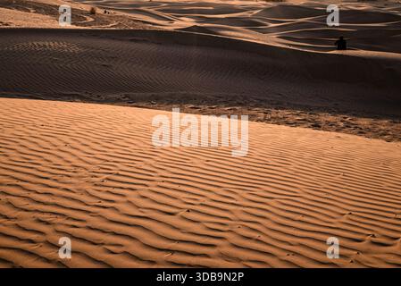 Sand dunes in Thar desert landscape with rippled textures and warm evening light. Stock Photo