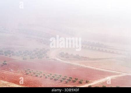 Rural Road Winding Through Foggy Fields Stock Photo