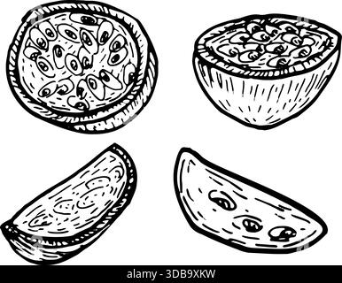 Passion fruit vector fresh and dried slices set. Engraved tropical maracuja piece, isolated vintage sketch, natural healthy snack illustration. Passio Stock Vector