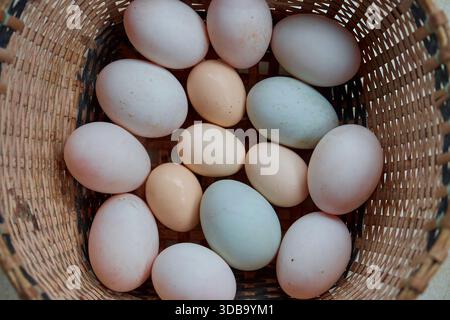 Directly above shot of eggs in woven bamboo basket Stock Photo