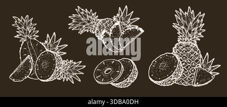Set of pineapple fruit compositions. Sketch vector illustrations set on dark background. White outline tropical fruit for food backgrounds, branding, Stock Vector