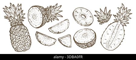 Outline Pineapple vector set. Whole fruit, slices, rings and leaves, tropical ananas illustration, vintage sketch line art, natural organic elements f Stock Vector