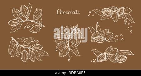 Cocoa chocolate fruits set. Hand drawn sketch of cacao beans, branches and plants on brown background. Rich design in vintage ink drawing style for fo Stock Vector