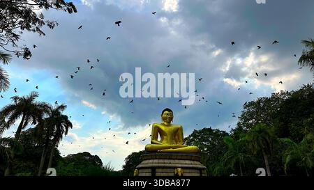 Large Golden Buddha statue in Viharamahadevi Park, Colombo, under a dramatic cloudy sky with a flock of birds flying overhead. Stock Photo
