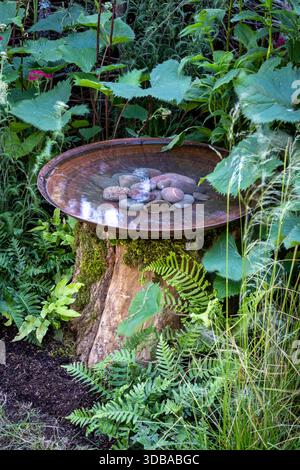 Rusted metal dish on top of old tree trunk, used as a Garden bird bath Stock Photo