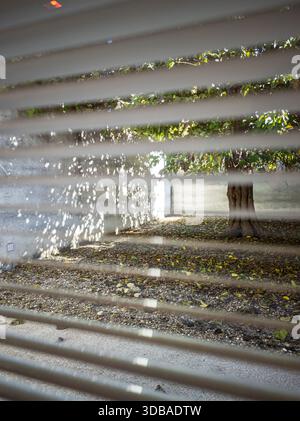 Light streams into a Cartuja monastery courtyard in Seville, Spain, seen through the slats of closed horizontal window blinds, casting shadows. Stock Photo