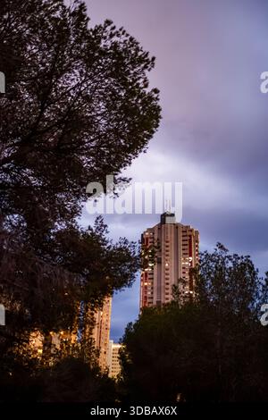 A dramatic low-angle shot of one of Benidorm's tall residential buildings framed by dark, dense tree silhouettes against a cloudy, colorful purple and Stock Photo