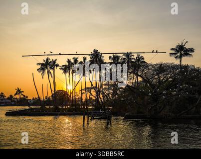 View of golden sunlight filtering through swaying palm trees and traditional fishing nets silhouetted against the tranquil waters of Kochi's backwater Stock Photo