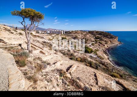 A picturesque landscape dominated by a solitary pine tree standing on the edge of the rocky coastal path at La Malladeta. The view extends over the te Stock Photo