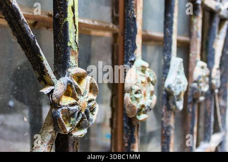 Close-up of decorative wrought iron window grille with metal floral elements and peeling paint in the historic old town of Kotor, Montenegro Stock Photo