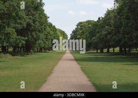 Tree-Lined Path Through English Parkland Stock Photo