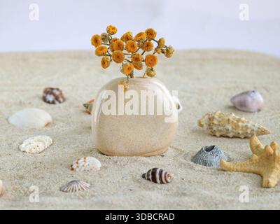 Minimalist still life featuring a small handmade ceramic vase with dried yellow flowers, placed on sand and surrounded by seashells. Soft neutral tone Stock Photo