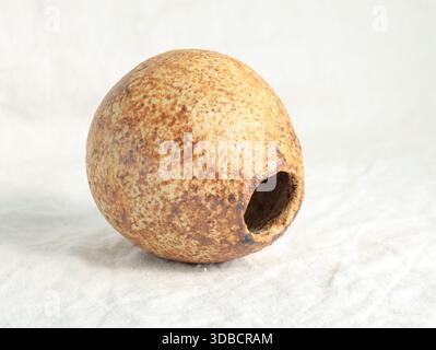 Handmade ceramic vase with rounded form and rough speckled surface. Studio photograph showing unglazed stoneware vessel with side opening on light fab Stock Photo