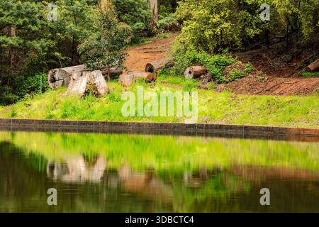 Intimate landscape of the delightful Pemberton Pool, located within the Pemberton Forest Park, South West region of Western Australia with Kerri Stock Photo