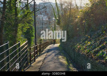 Sunlit Pathway Leading to Botanical Garden in Germany Stock Photo