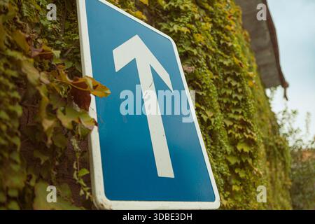 One-way road traffic sign surrounded by foliage evokes the coexistence of industry and nature. Stock Photo