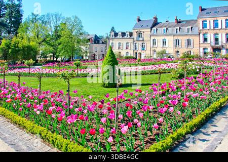 Tulips in the Jardin des Plantes, Le Mans, Sarthe, France Stock Photo