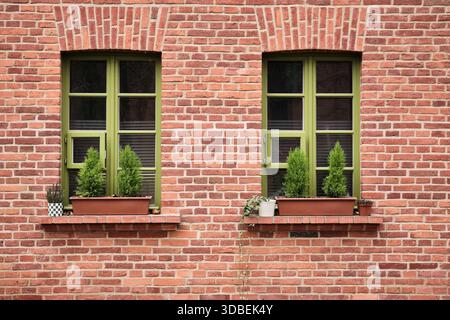 Two green framed windows with potted plants on a red brick house facade, symbolizing cozy urban home life and exterior design. Stock Photo