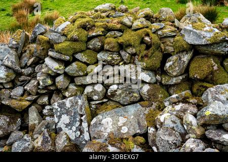 Dry stone wall covered in moss and lichen Stock Photo