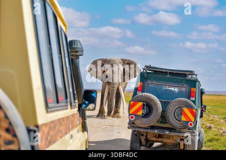 A large bull elephant standing on a dirt road amidst safari vehicles at Amboseli National Park in Kenya Stock Photo