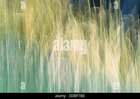 Abstract green modern background. Blurred lines, abstract nature. Stock Photo
