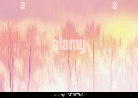 Abstract modern surreal backgroung. Blurred trees and sunruise. Stock Photo