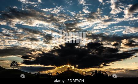 Solitary tree. a beautiful scene of Swiss hills above Lake Zurich turned into a threatening and unexpected experience, when the dark clouds arrived. Stock Photo