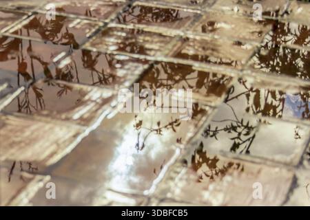 The sky and the foliage reflected on a rain puddle over a clay tile floor, in a farm in the eastern Andean mountains of central Colombia Stock Photo