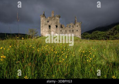 Dramatic landscape features Kilchurn Castle ruins perched on a grassy hill with wildflowers, dark storm clouds gathering over Loch Awe, creating a moo Stock Photo