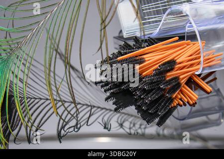 Disposable mascara brushes and micro applicators arranged in transparent holders with natural feather Stock Photo