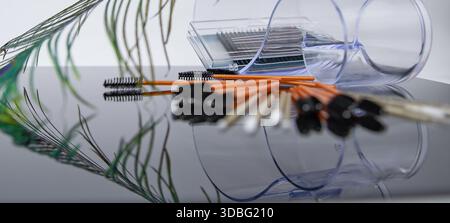Disposable mascara brushes and micro applicators arranged in transparent holders with natural feather Stock Photo