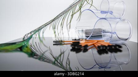 Disposable mascara brushes and micro applicators arranged in transparent holders with natural feather Stock Photo
