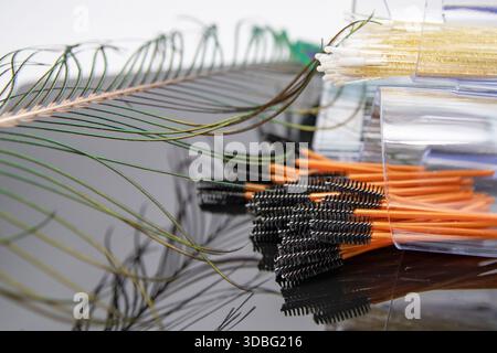 Disposable mascara brushes in transparent containers on reflective studio surface Stock Photo