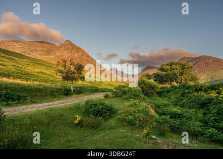 A tranquil Scottish countryside scene in Glen Sannox, showing a dirt path winding through green hills, framed by trees and rugged mountains under warm Stock Photo