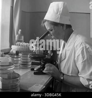Black and white archival photo of a female laboratory technician or microbiologist looking through a microscope in a Soviet hospital in the Donetsk region, Ukraine, Donbas, 1960s-1970s. She wears a white medical cap, gown, and glasses. Stacks of glass Petri dishes and racks of test tubes are visible on the workbench near a window. A portrait of scientific research and healthcare professionals in the USSR. Stock Photo