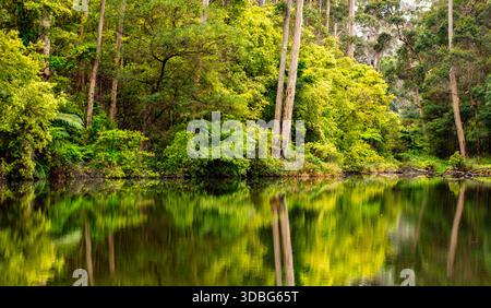Intimate landscape of the delightful Pemberton Pool, located within the Pemberton Forest Park, South West region of Western Australia with Kerri Stock Photo