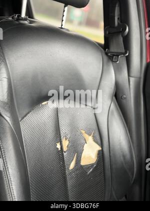 Torn car seat with visible damage on black leather surface in vehicle interior. Mobile photo Stock Photo