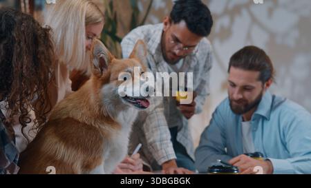 Funny dog corgis pet animal in office on business informal conference coworkers meeting talking laughing smiling analyze reviewing documents charts Stock Photo