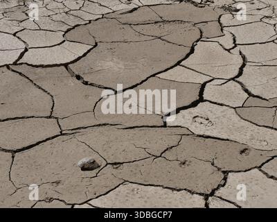 Arid soil with cracks in the earth due to lack of rainfalls, climate change concept Stock Photo