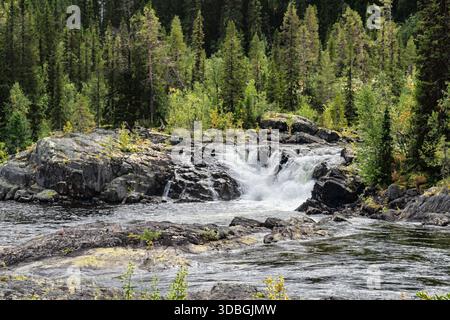 River water vigorously flowing over ancient rock formations, creating a powerful cascade surrounded by lush green coniferous trees in the vast wildern Stock Photo