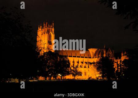 The historic Beverley Minster bathed in floodlights beneath a dark featureless sky framed by dark silhouettes of Trees, East Yorkshire, England. Stock Photo