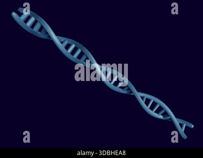 DNA double helix structure on dark blue background Stock Photo