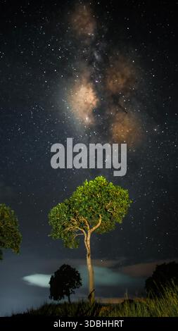 Milky Way Galaxy Over Lone Tree Under Starry Night Sky Stock Photo