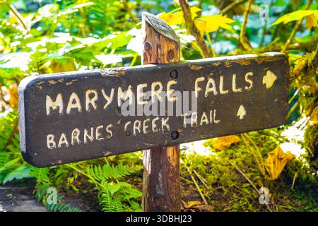 A trail sign clearly indicates the direction to Marymere Falls, serving as a navigational marker for hikers in Olympic National Park, Washington State Stock Photo